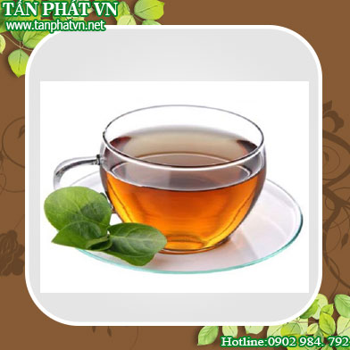 Cách uống dây thìa canh hiệu quả nhất, tốt nhất