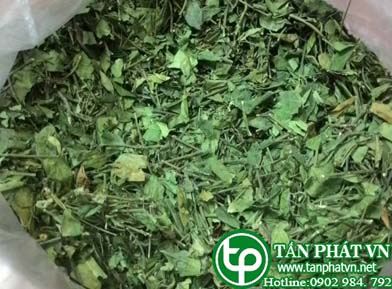 Cung cấp bán dây thìa canh tại Bình Thạnh uy tín